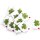 10 grüne Glückskleeblätter & Nur eine klitzekleine Kleinigkeit Kärtchen - kleine give aways