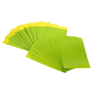 Flachbeutel grün / limone aus Papier (9,5 x 14 cm) 50 Stück