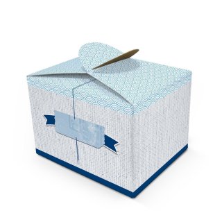 Kleine Geschenkbox blau maritim mit Fischen 8 x 6,5 x 5,5 cm 10 Stück