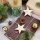 10 Holzsterne Stern Weihnachtsanh&auml;nger aus Holz 7 cm braun natur