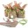 Osterhasentüten groß - braune Kraftpapier Hasentüten in 19 x 29 x 7,5 cm, Kulleraugen, Puschel & grünes Band
