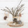 Osterhasen Set - 3 Osteranhänger Hasen aus Holz & Filzwolle weiß + grau + braun