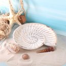 2 Muschel Dekoschalen aus Holz - Vintage Ammonit Schale