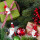 6 Weihnachtsmann Klammern - rot weiß 4,5 cm - Holzklammern