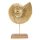 Muschel Figur Gold Metall Ammonit Meer Deko 27 cm